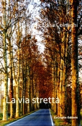 La via stretta - Colnaghi Luisa