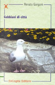 Gabbiani di città - Renato Gorgoni