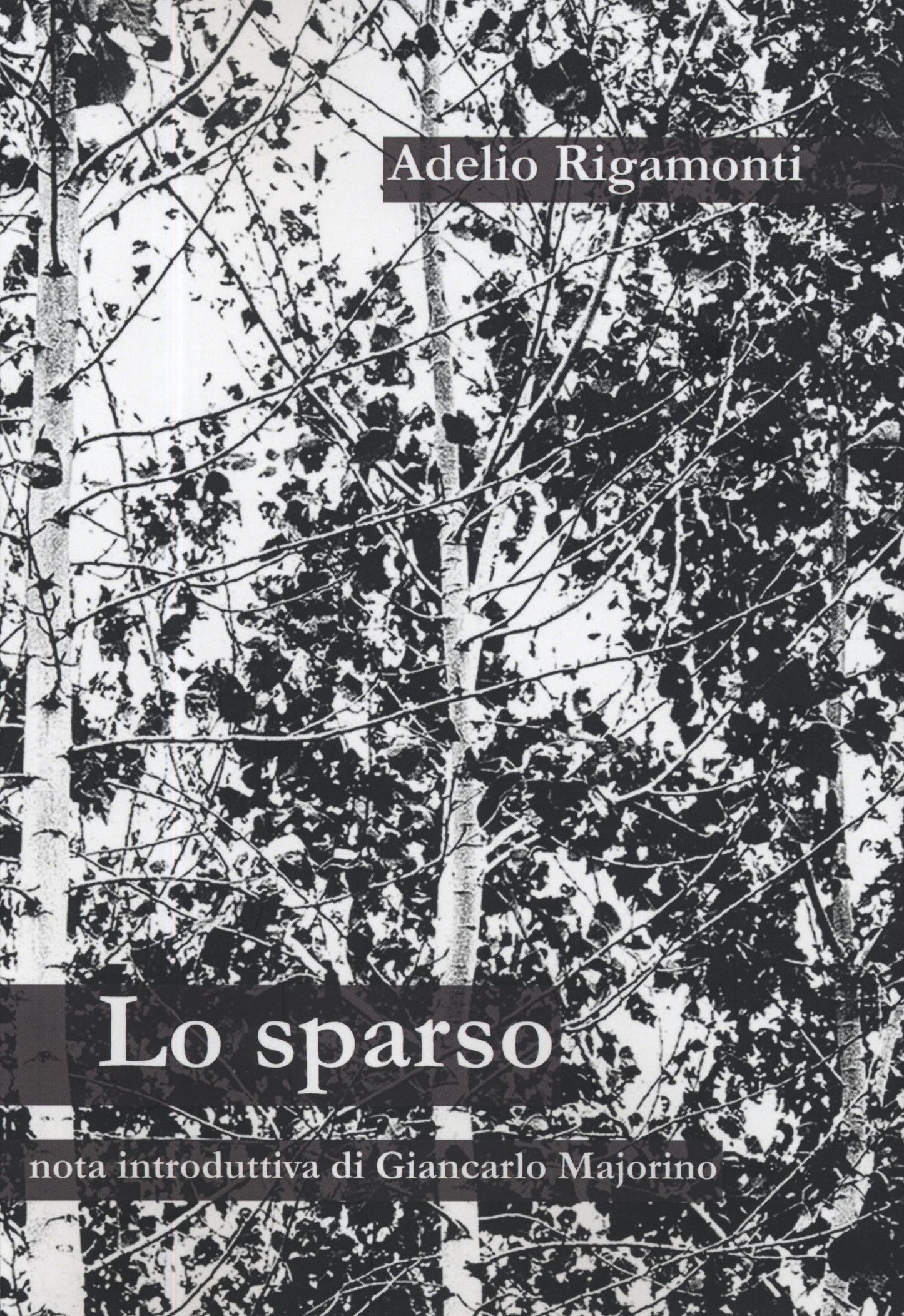 Lo sparso - Adelio Rigamonti