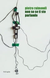Non so se ti sto parlando - Pietro Raimondi